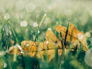 Improve wellbeing and go outside!