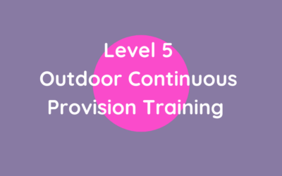 Outdoor Continuous Provision Training (Level 5)