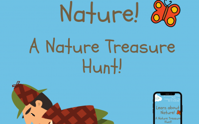 Nature Treasure Hunt EBook