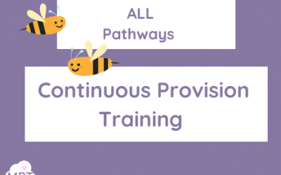 Outdoor Continuous Provision Training (EYFS & KS1)