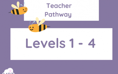 Teacher Training Pathway (Stages 1-4)