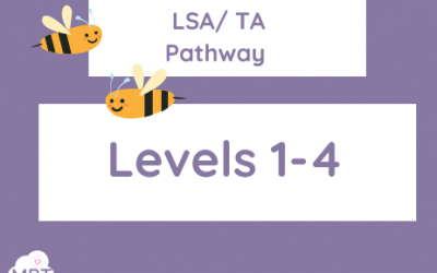 LSA Pathway – (Level 1-4)