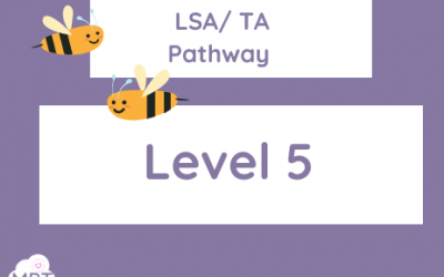 LSA Pathway (Level 5)