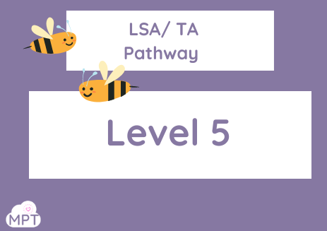 LSA Pathway (Level 5)