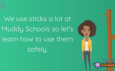 Stick Safety Video – For Kids
