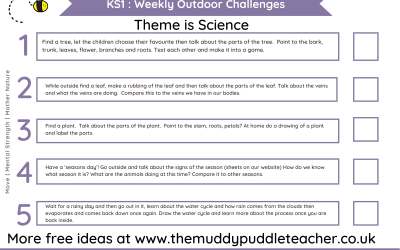 *FREE* KS1 Weekly Outdoor Learning Challenges (Theme Science)