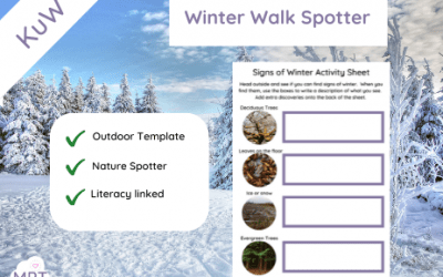 Signs of Winter Activity Sheet
