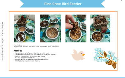 Pine Cones Bird Feeders
