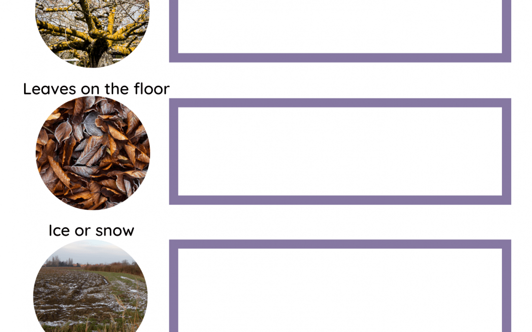 Signs of Winter Activity Sheet