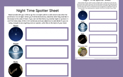 Night Time Spotter Activity Sheet