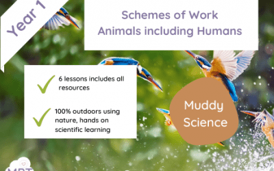Year 1 Animals Including Humans – Outdoor Scheme of Work (Brilliant Birds)