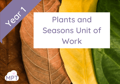 plants and seasons year 1
