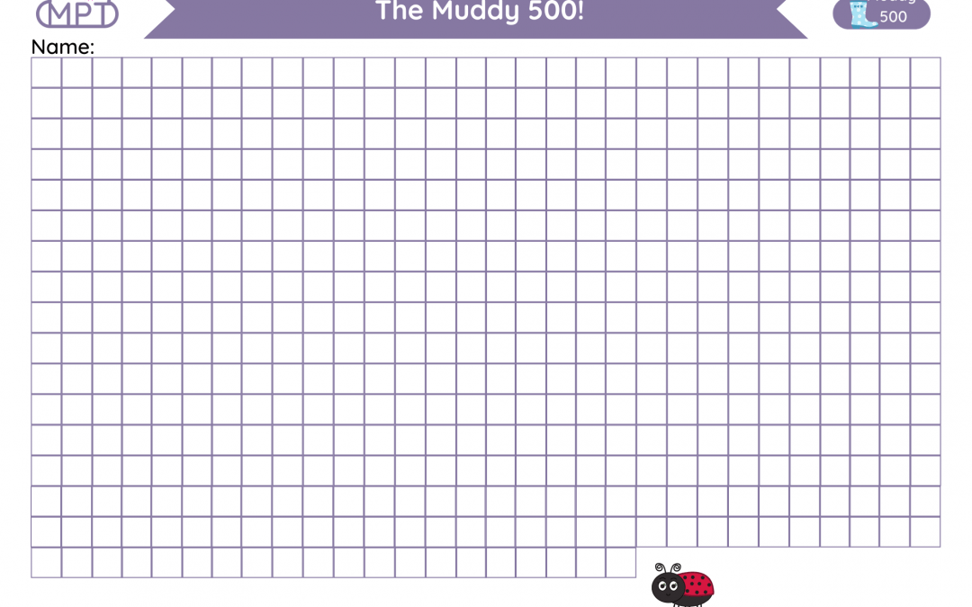 Muddy 500 Recording Chart