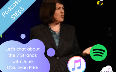 S1E3: Let’s chat about the 7 Strands with June O’Sullivan MBE