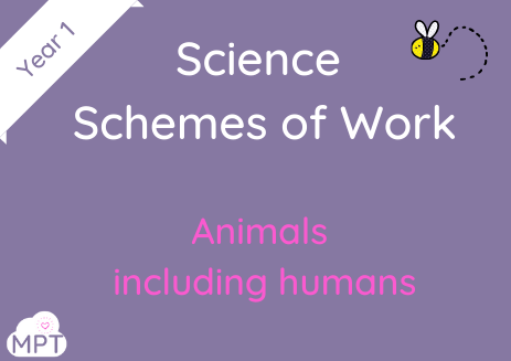 animals including humans