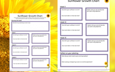 Sunflower Day Growth Chart KS2