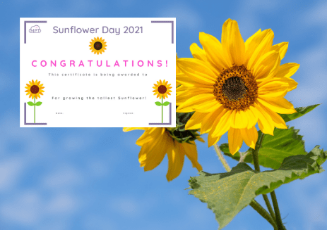sunflower day certificate