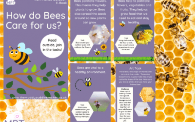 How do Bees Care for us? (Outdoor eBook)