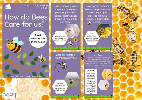 How do Bees Care for us? (Outdoor eBook)