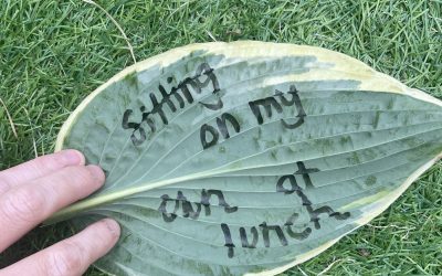 worry leaves