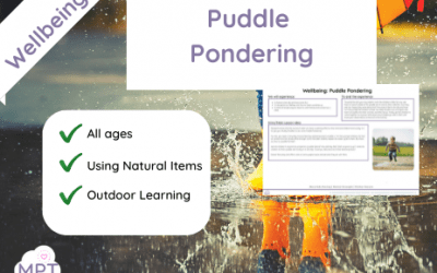 Wellbeing: Puddle Pondering