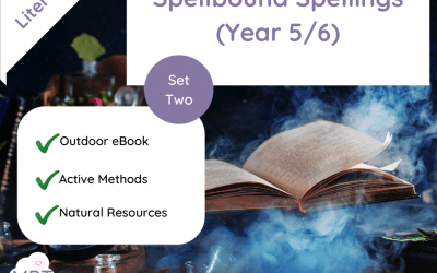 Spellbound Spellings – Year 5/6 Spellings (Set Two)