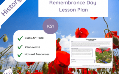 Remembrance Day (Lesson Plan) Leafy Poppies