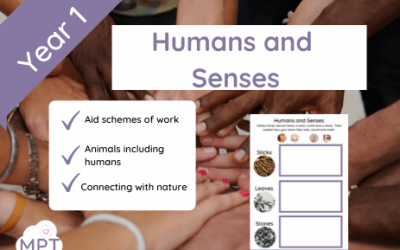Humans and Senses (Year 1)
