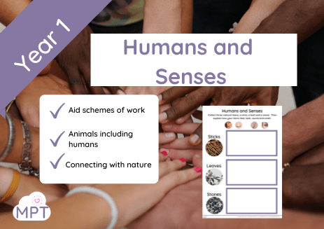 Humans and Senses (Year 1)