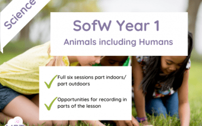 Schemes of Work (Year 1) Animals Including Humans