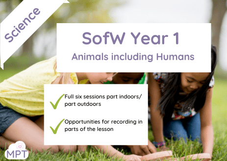 Schemes of Work (Year 1) Animals Including Humans