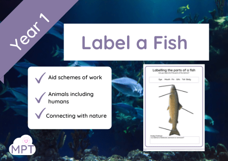 fish labelling