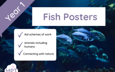 Year 1 Fish Posters
