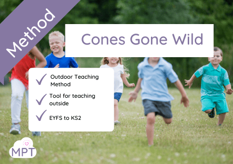 Cones Gine Wild (Outdoor Teaching Method)