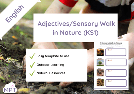 sensory walk in nature