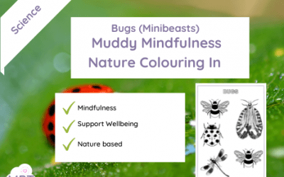 Bugs (Mini beasts) Mindfulness Colour In