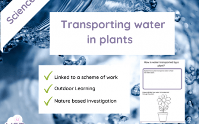 Transporting Water in Plants