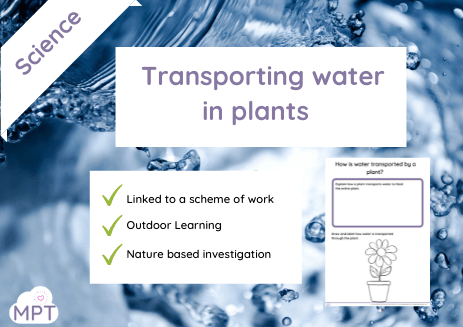 Transporting water in plants