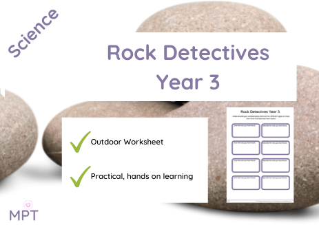 rock detectives