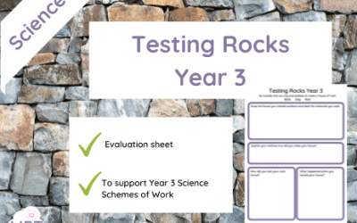 Evaluation Form (Testing Rocks) Year 3