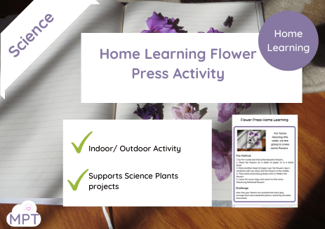 How to make a Flower Press (Home Learning)