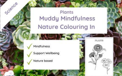 Plants Mindfulness Colouring In
