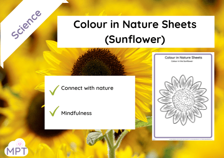 colour in nature posters