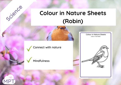 Colour in Nature Sheets (Robin)