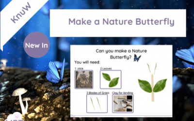 Make a Nature Butterfly (Tuff Spot)