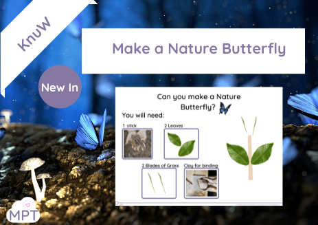 make a nature butterfly