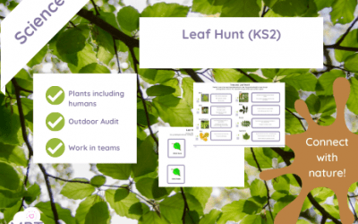 Leaf Identifier KS2