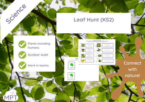 Leaf Hunt (KS2)