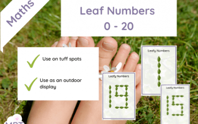 Numbers in Leaves (Tuff Spot/Display)