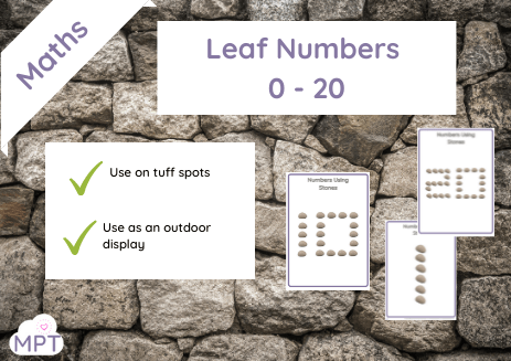 Numbers in Leaves (Tuff Spot/Display)